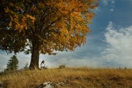 1087745_girl_under_tree