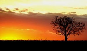 1253048_sunset_i